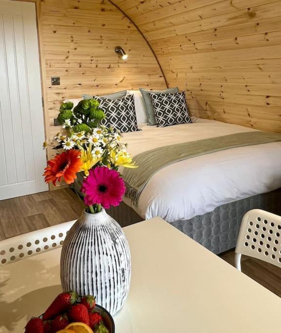 Plumgrove Pod Easkey Villa Sligo Exteriör bild